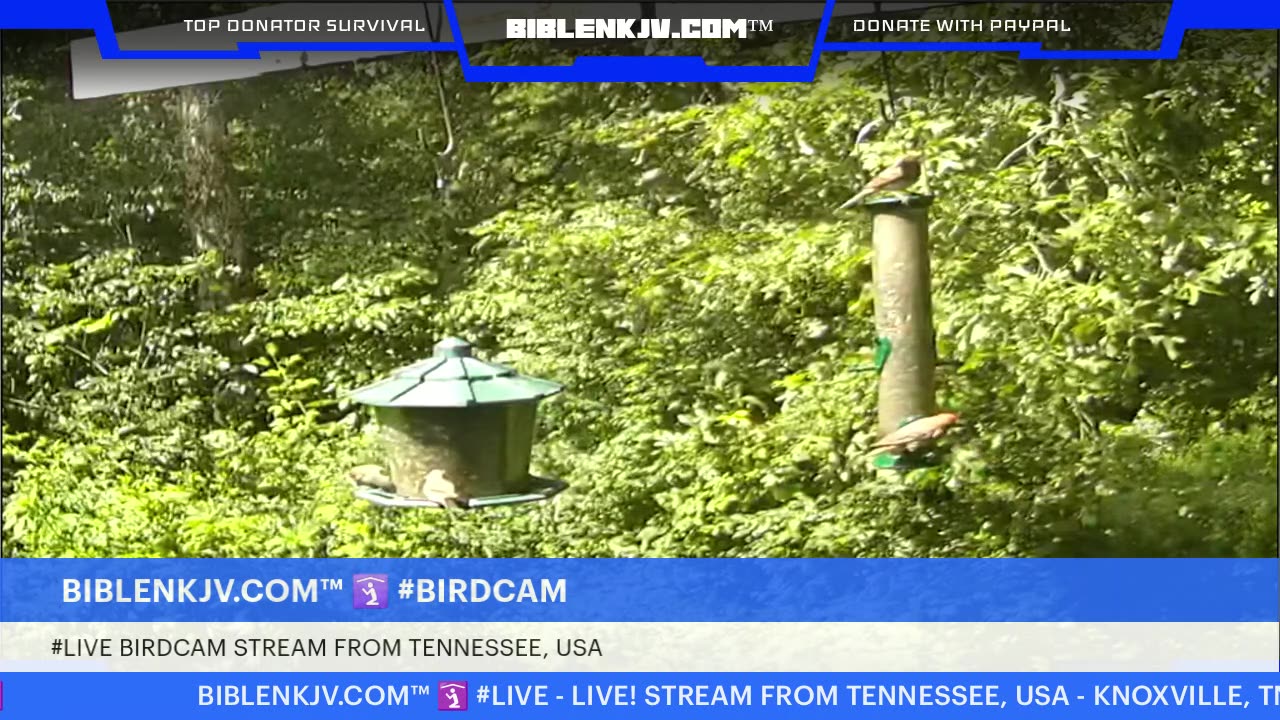 BIBLENKJV.COM™ 🛐 07/18/2025 #LIVE #WEATHER #KNOXVILLE