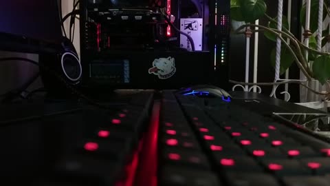 Let's dance to rhythmic electronic music