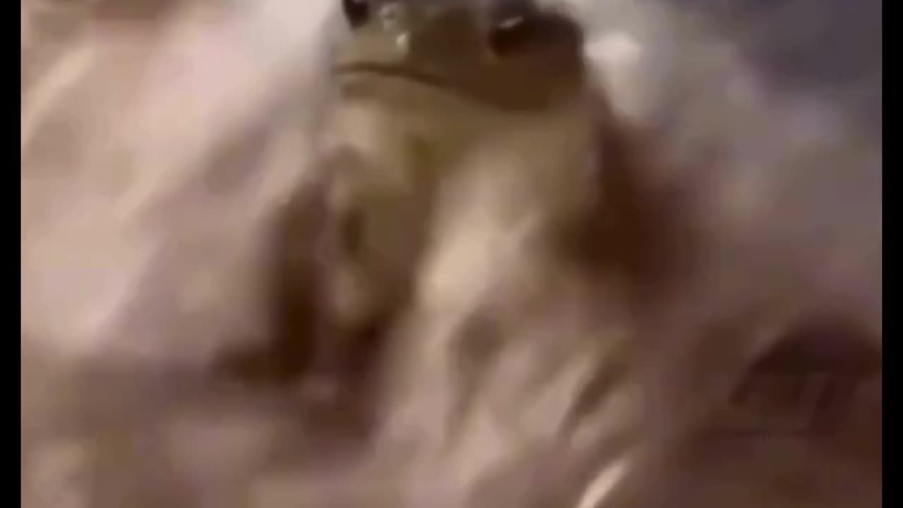 POV You took screenshots instead of Taking profits