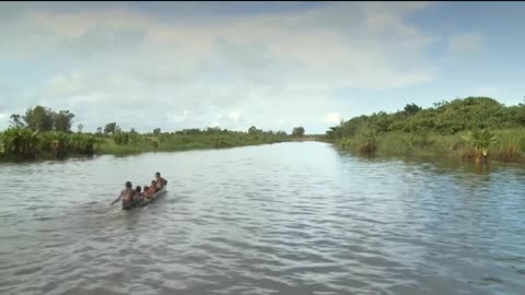Crocodiles : the most dangerous animal in the world ? | Wildlife Documentary
