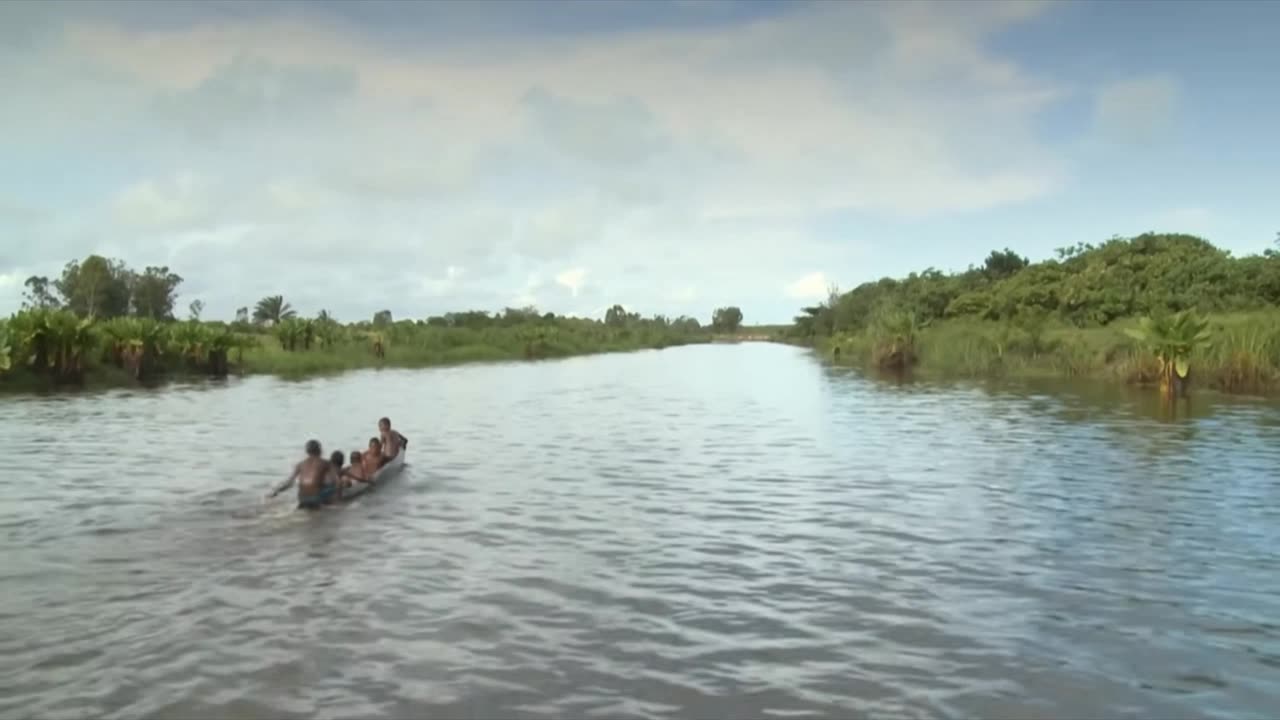 Crocodiles : the most dangerous animal in the world ? | Wildlife Documentary
