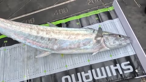 How Did WATER Get into Our BOAT'S FUEL SYSTEM_part9