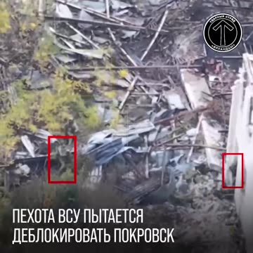 The Ukrainian counterattack failed near Pokrovsk