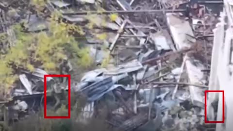 The Ukrainian counterattack failed near Pokrovsk