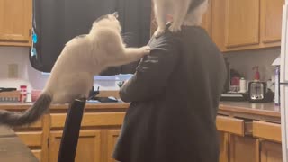 😂🤣 She's Jealous of Her Own Shoulders! | FunFM