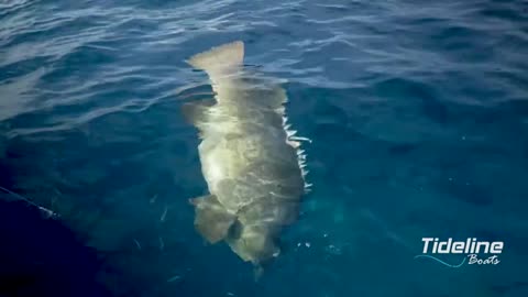 Fishing with NFL Super Bowl Champions_part1
