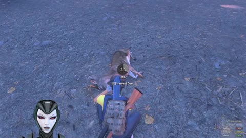 rapairin the shacks 10