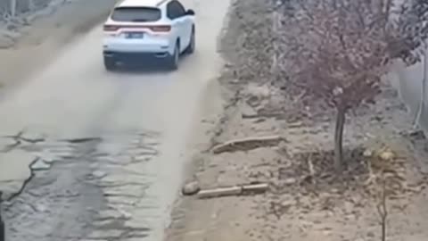 What just happened?