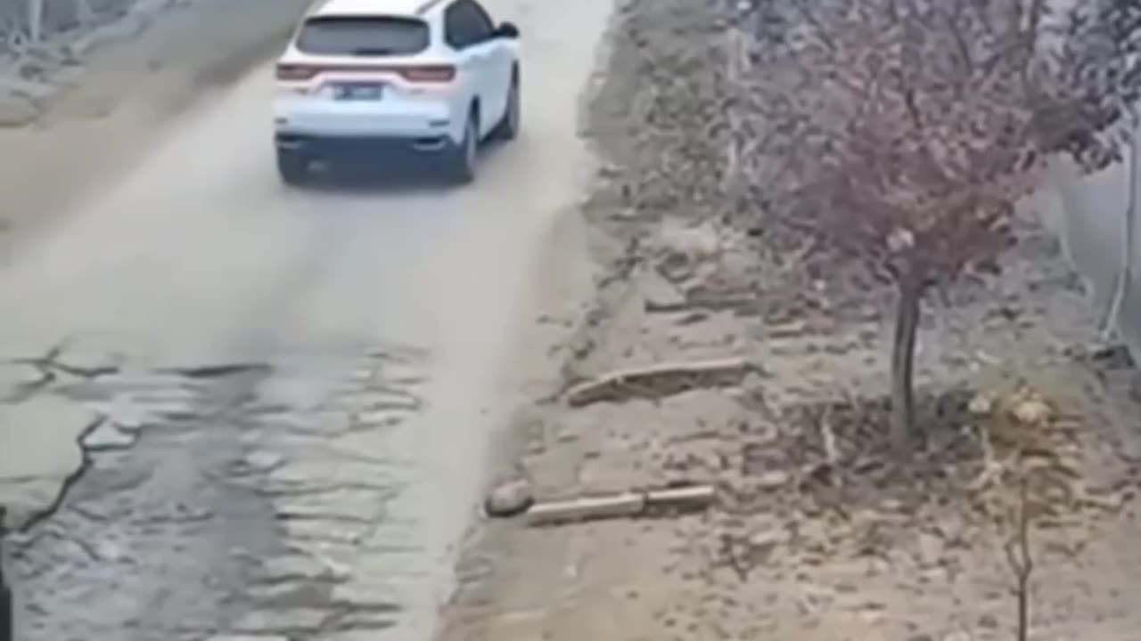 What just happened?