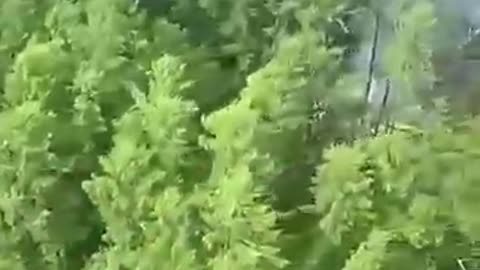 Plane carrying 50 people crashes in Russia's far east