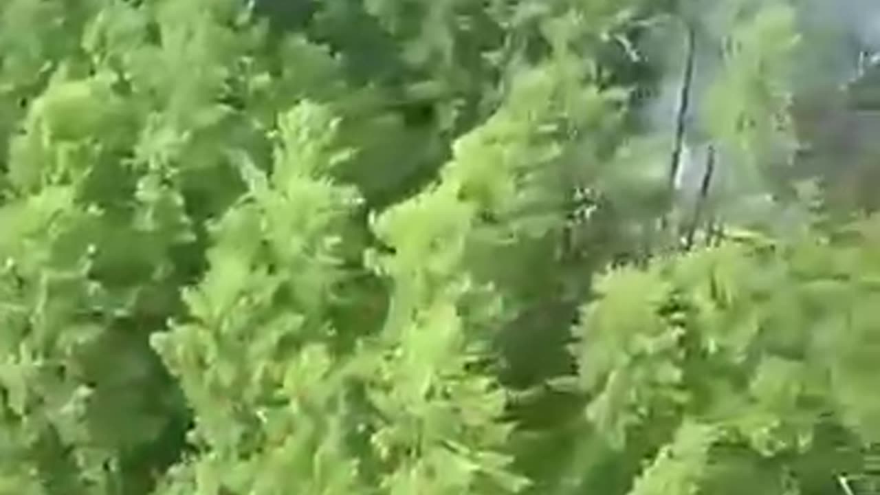 Plane carrying 50 people crashes in Russia's far east