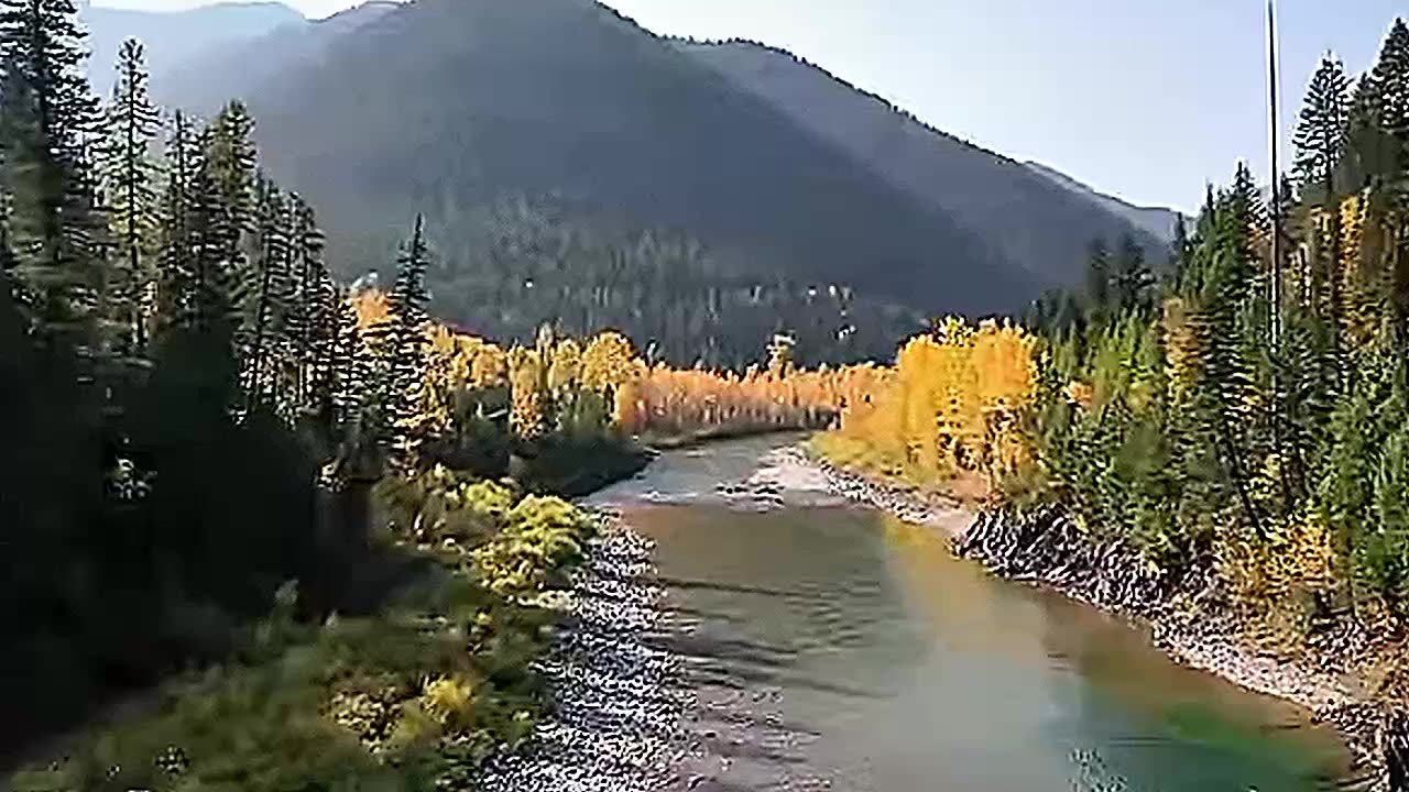 "Serene Morning: Awakening of Nature"