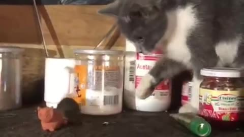 Tom and Jerry at War🐱🐭