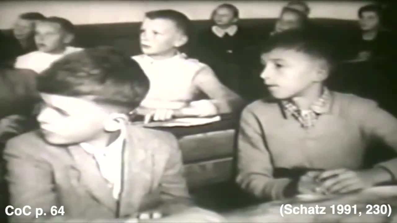 The Culture of Critique Summary