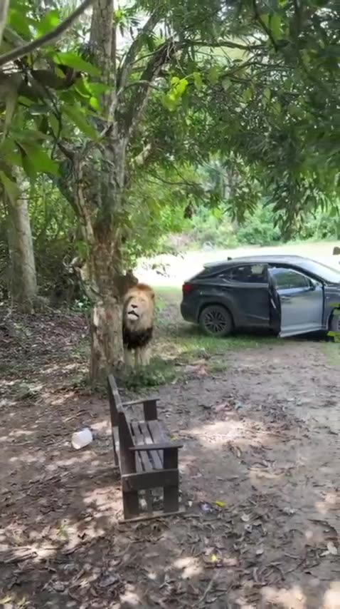 OMG 😳 WTF is he gonna do.😁😂