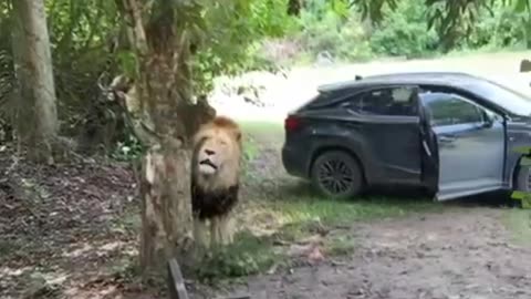 OMG 😳 WTF is he gonna do.😁😂