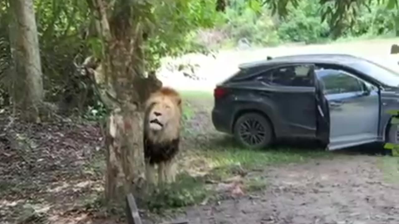 OMG 😳 WTF is he gonna do.😁😂