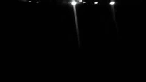 Live footage of citizens witnessing the ostrich massacre November 6, 2025 into the 7th