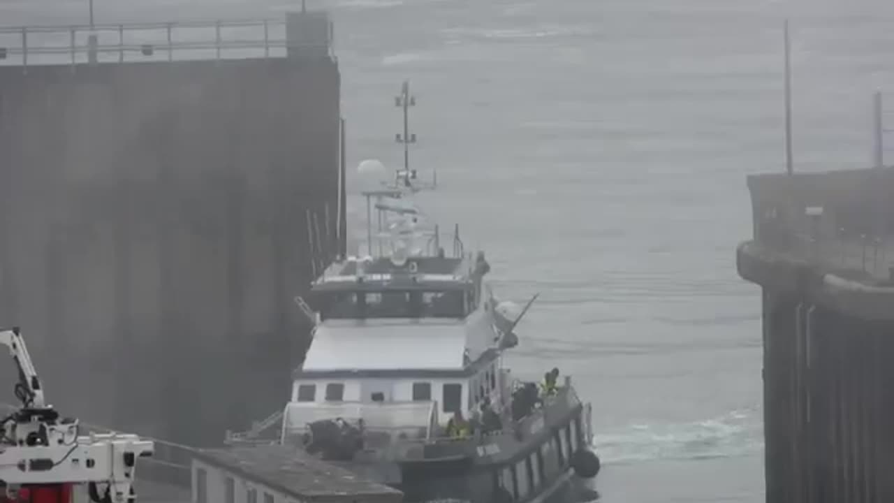 Another 1000+ invaders arrived today. Highest number this year