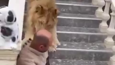 Come over and pet my new kitty. What could possibly go wrong.