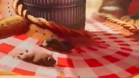 Zoe and Mio Turn Into Pigs and Go Down a Wild Slide! Can They Survive?! 🐖🎢😱 #gaming