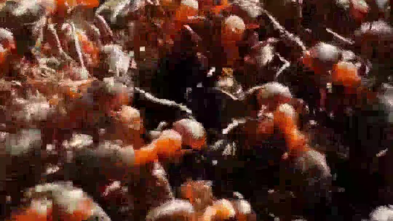 Considering Karl-Anthony Towns' Perspective on Budget NYC Attractions