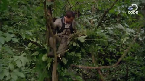 Bear-Grylls-in-Borneo-Jungle-Man-vs-Wild