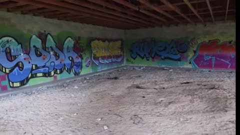 20240718.Tampa_Jay_Rollercoaster_Lamont_Listens_To_Rap_Jordan_Lion_Hollywood_Sh_t_Adam_Woo_Talks