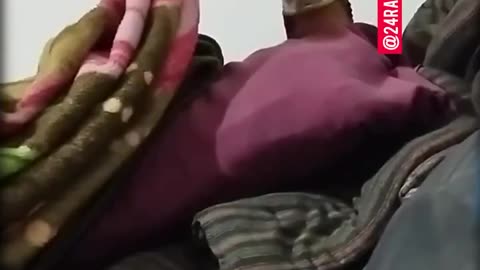Man casually records massive king cobra slithering on his bed only ...