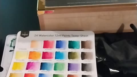 Travelling Artist