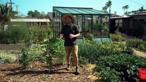 Science-Backed Companion Planting Combinations That Actually WORK – Boost Your Garden