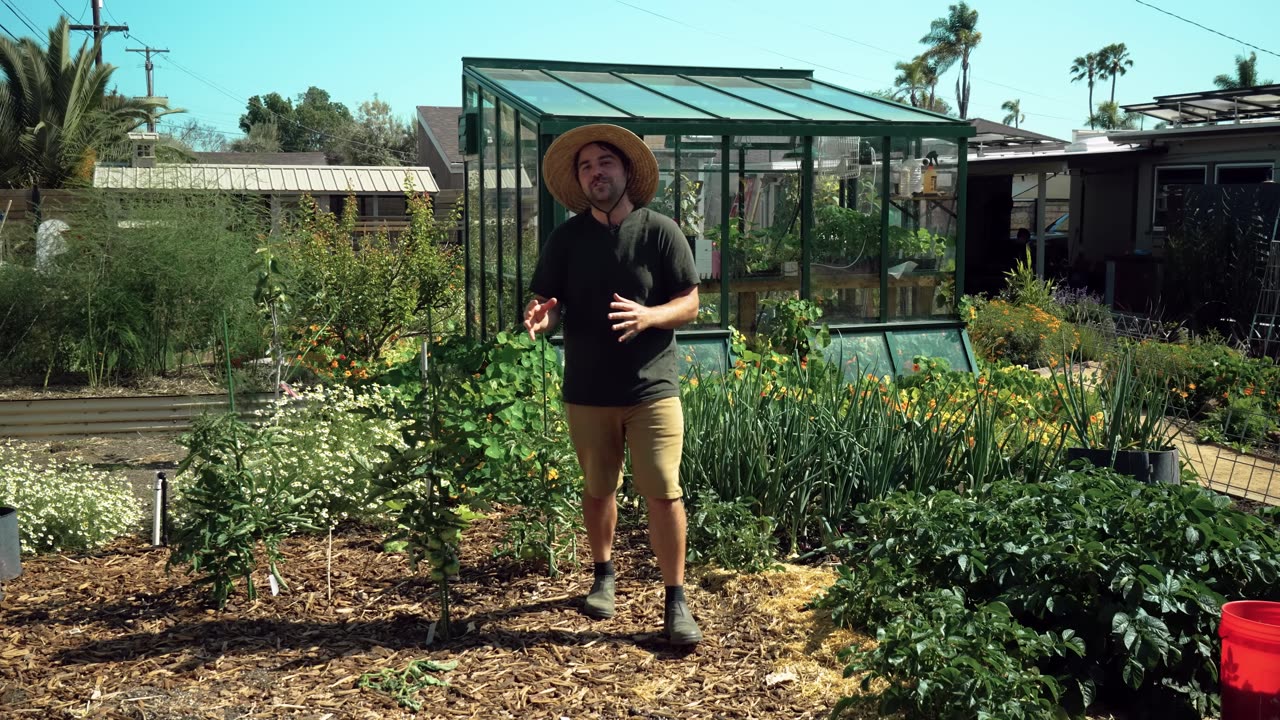Science-Backed Companion Planting Combinations That Actually WORK – Boost Your Garden