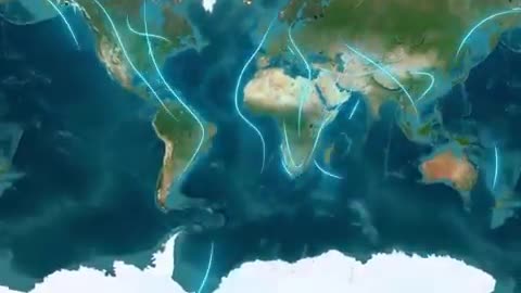 The longest bird migration on Earth~70,000 km every year from Arctic to Antarctica.