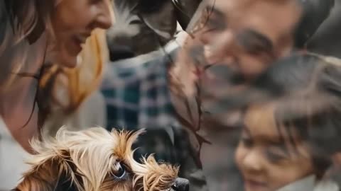 Poor Puppy Gets Adopted by a Family of Cats