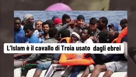 Non sono emigranti ma invasori , vogliono distruggere il cristianesimo Piano kalergi