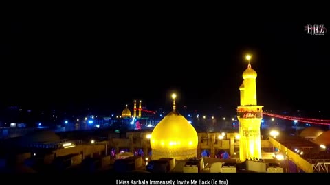 Nohay 2020 - Karbala Yaad Bohat Aati Hai | Syed Raza Abbas Zaidi