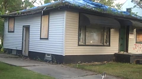 STOUT FOR NIYI_ CHEAP PROPERTY IN DETROIT