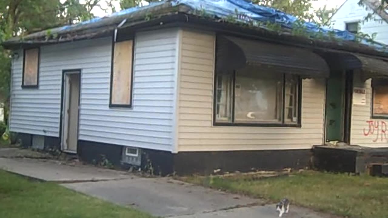 STOUT FOR NIYI_ CHEAP PROPERTY IN DETROIT