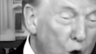 President trump to clean up chicago?