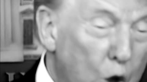 President trump to clean up chicago?