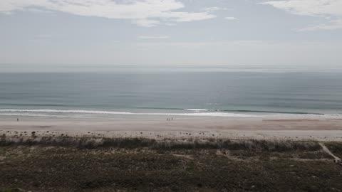 Sneak Peak Garden Reveal on Ocean Club Dr in Amelia Island Plantation
