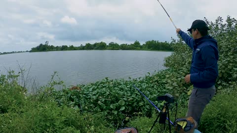 Karpfen im Fokus Angeln am Fluss #Karpfenfischen #Flussidylle #Angelzeit