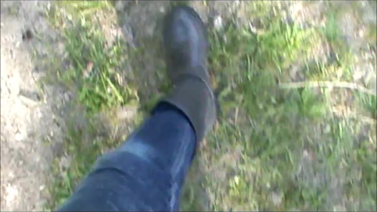 Stepping in Crap with Boots