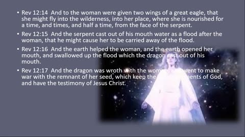 Woman of Revelations 12