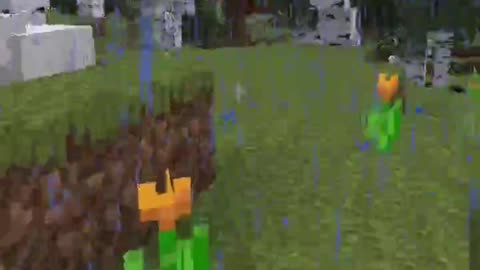 I'm A Parkour Queen!