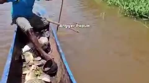 Amazing Fish Archery Skills! 🎯 You Won't Believe This Shot!"