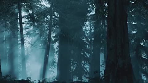Hunting Season Begins | First Day in the Wild