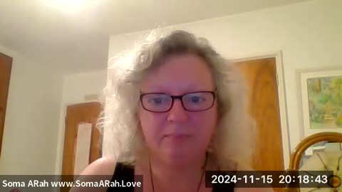 PLEIADIAN DOWNLOADS INFO 15TH NOV 2024