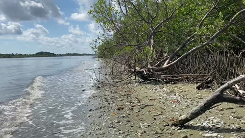 Intracoastal Shoreline ASMR