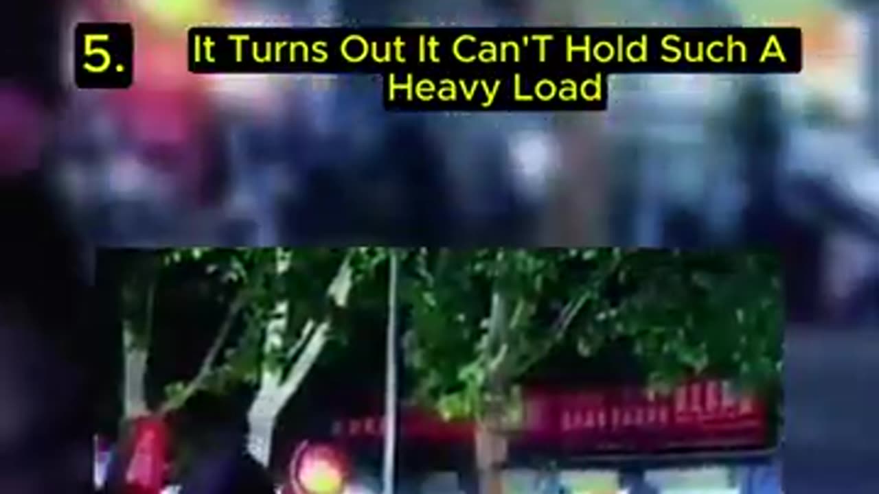 Top 5 Funny Video Try Not Laugh
